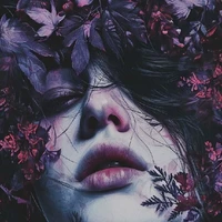 Hive ( author)