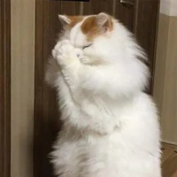 เพื่อนแอ๊ด