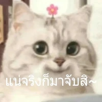 แอดดดดดด