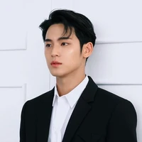 Kim Mingyu(Papa)