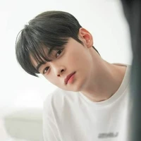 Cha Eunwoo