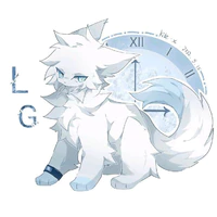 LG/WHITE FOX/SYSTEM
