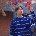 Doyoung