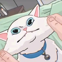 แอดเอง