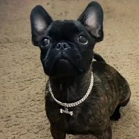 Tobi