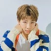 Namjoon/RM