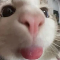 เเอ๊ดเเอด