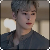 cha eun woo