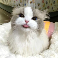 บลู