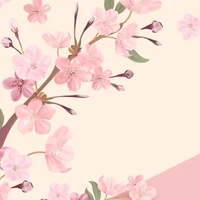 ดอกเหม่ย(เเอดจ้า)