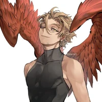 hawk