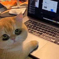 แอดดดด