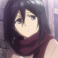 mikasa