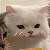 แอด