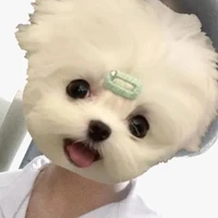P.