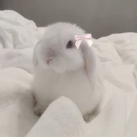 ทย.