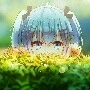 ครีมจัง(เพื่อนนางเอก)
