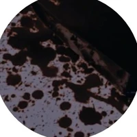 autora