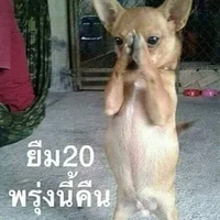ตัวไรก็ได้??