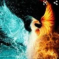 Phoenix ( Red)