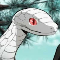 kaburamaru mas