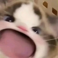 Y.