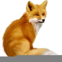 Félix(le Renard)
