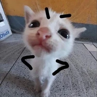 โยโย่