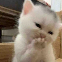แอด🌟