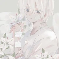 โนเอล