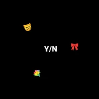 Y/N🎀
