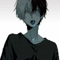 Shoto Todoroki