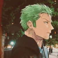 ~Zoro ⚡