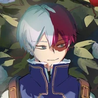 ~𝑻𝒐𝒅𝒐𝒓𝒐𝒌𝒊☆~