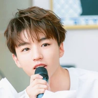 Wangjunkai