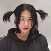 hwang hyunjin (skz)