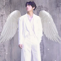 Kim Taehyung ( Angel)