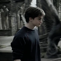 แฮร์รี่ พอตเตอร์[Harry Potter]