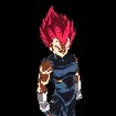 VEGETA (FORMA DEUS)