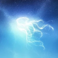 ⚄𖤓𖥟Auteur 𖥟𖤓⚄