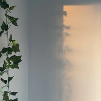 ป๋า(เปรม)