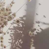 มาม๊า(เปรม)