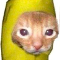 แอดดดดด