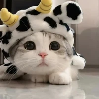 ？？？
