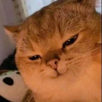 แอดเอง