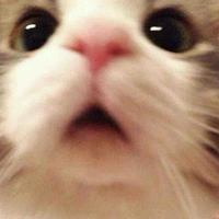 แอด