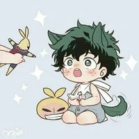 izuku petit