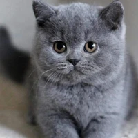 น้องไค