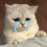 เเอดเองนะเตง