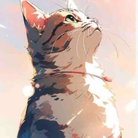 ลาล่า(แมว)